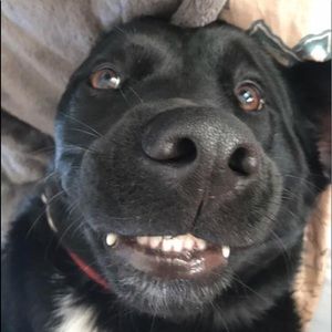 Meet your Posher, Beth